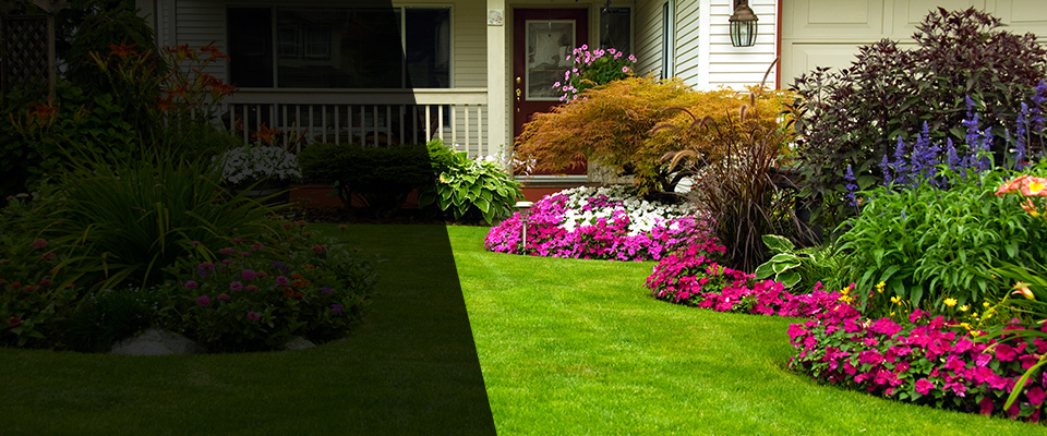 Pink Hill Landscapers